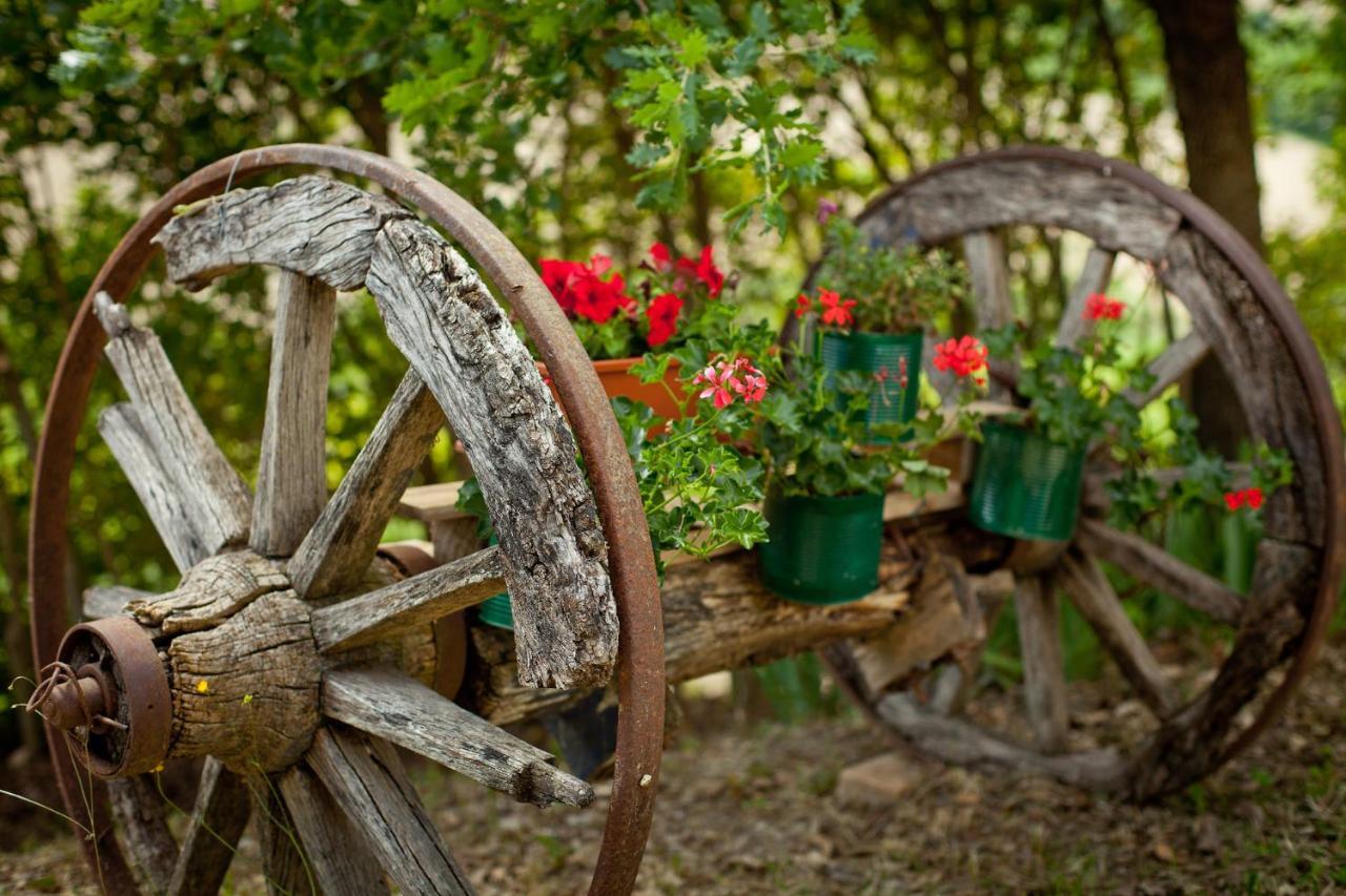 Villa Titti B&B Orciano di Pesaro Esterno foto