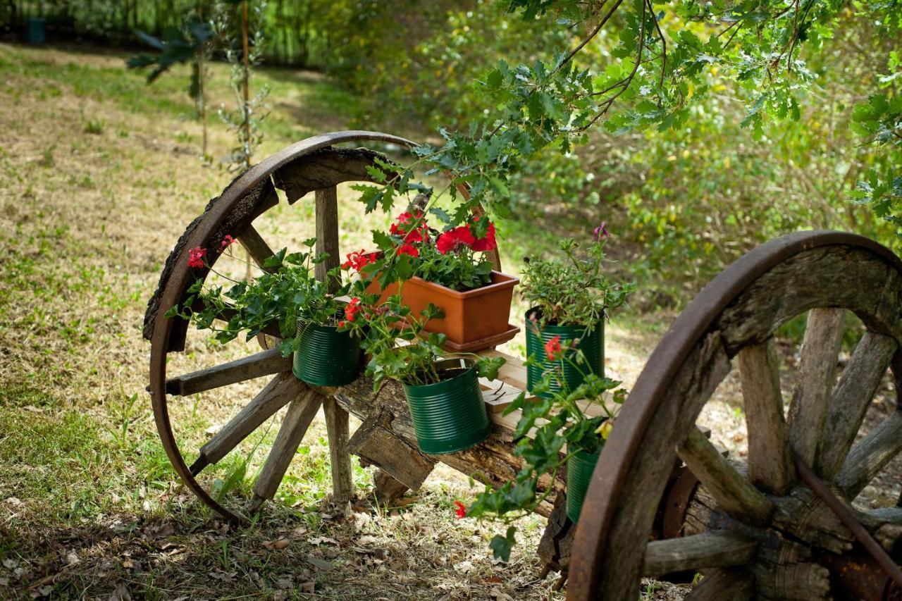 Villa Titti B&B Orciano di Pesaro Esterno foto